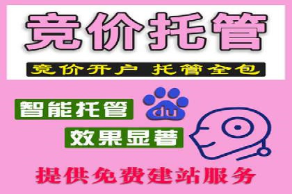 竞价推广开户策略解析：如何选择合适的平台